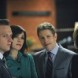 The Good Wife