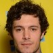 Adam Brody est papa